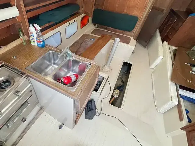 Catalina 38