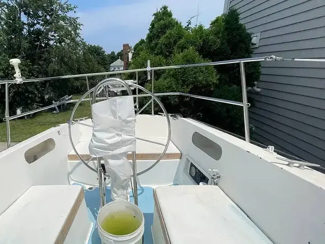 Catalina 38