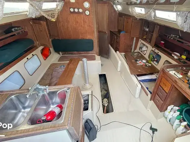 Catalina 38