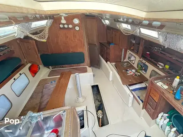 Catalina 38