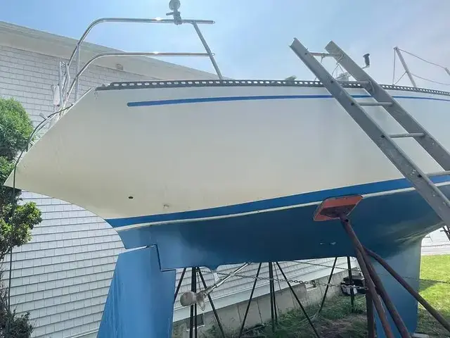 Catalina 38