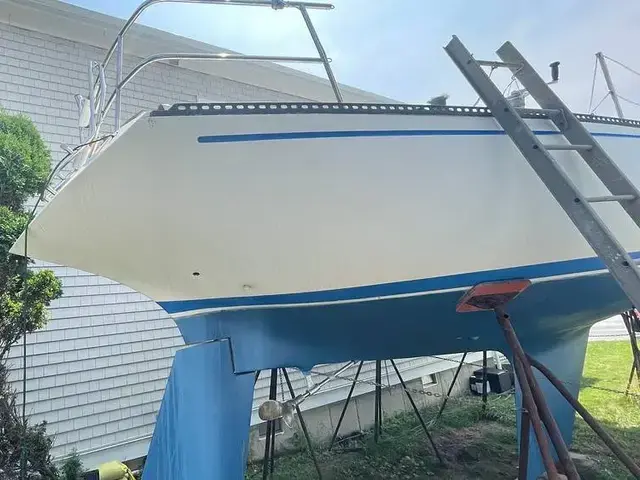 Catalina 38