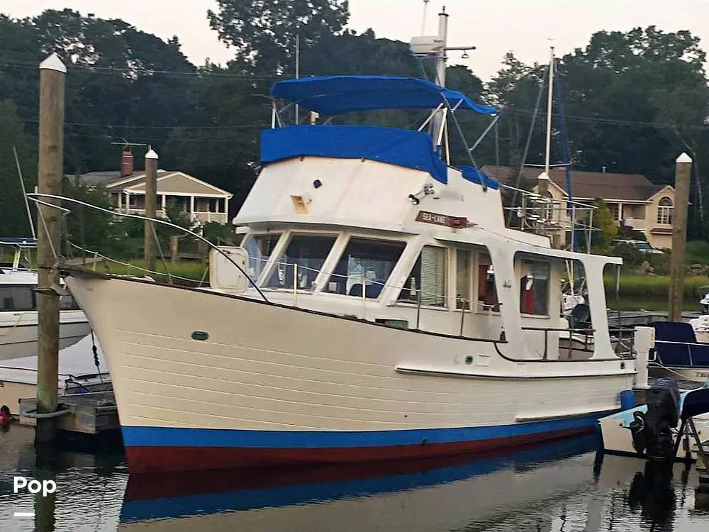 1983 Island Gypsy europa 36