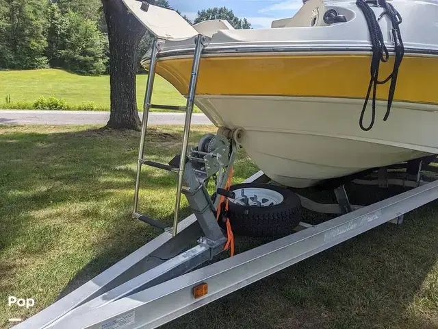 Stingray 220 Dr