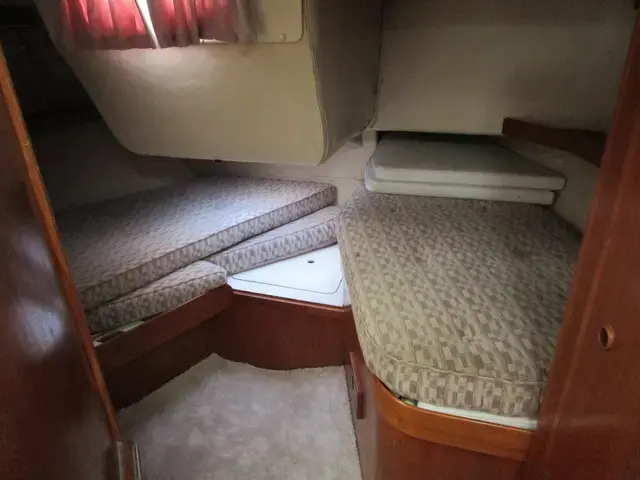 Sovereign 40 Deck saloon