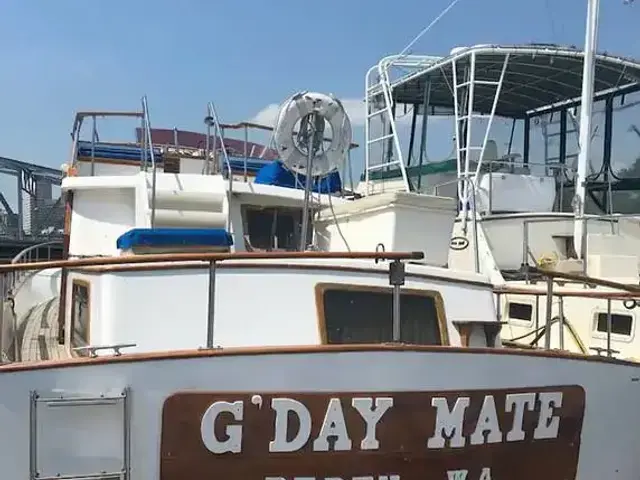 Albin 43 Trawler