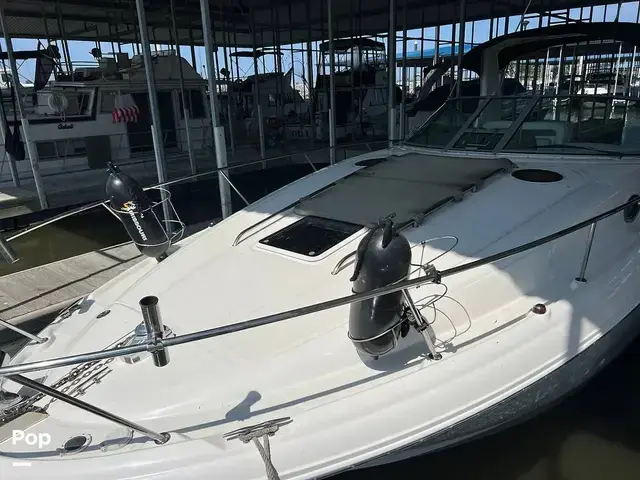 Sea Ray Sundancer 320