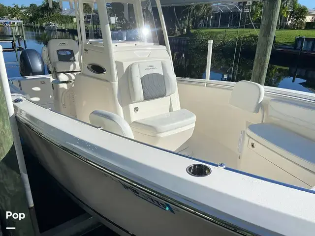 Cobia 262 Cc