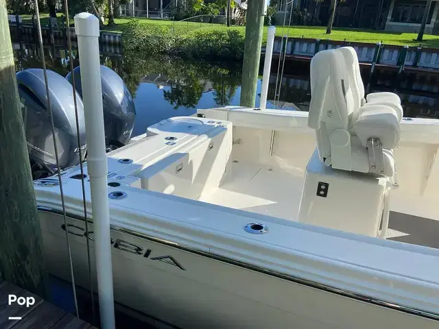 Cobia 262 Cc