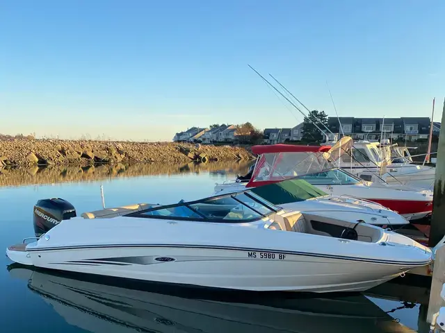 Sea Ray 220 Sundeck Outboard