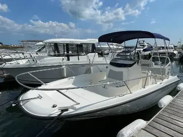 Boston Whaler 210 Dauntless