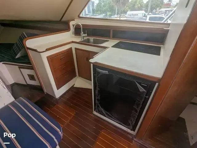 Blackfin 32 Flybridge