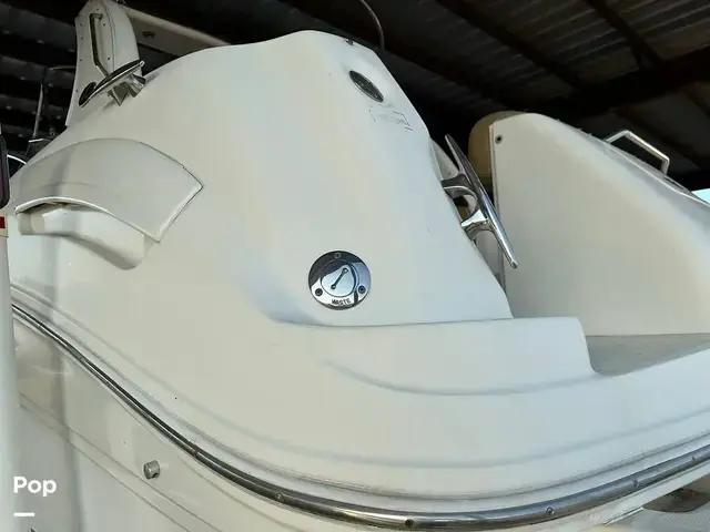 Sea Ray 300 Sundancer