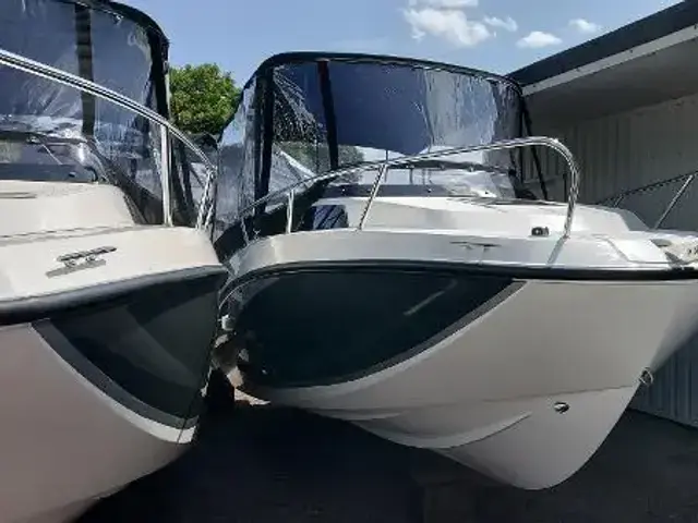 Quicksilver Activ 555 Cabin