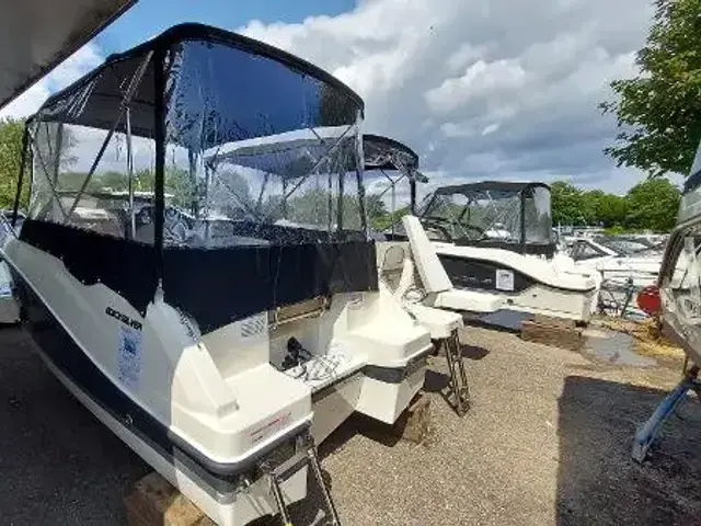 Quicksilver Activ 555 Cabin