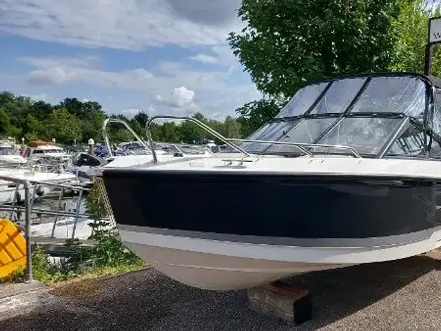 Quicksilver Activ 555 Bowrider