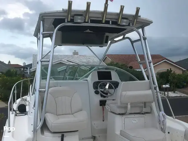 Robalo R265 Walkaround