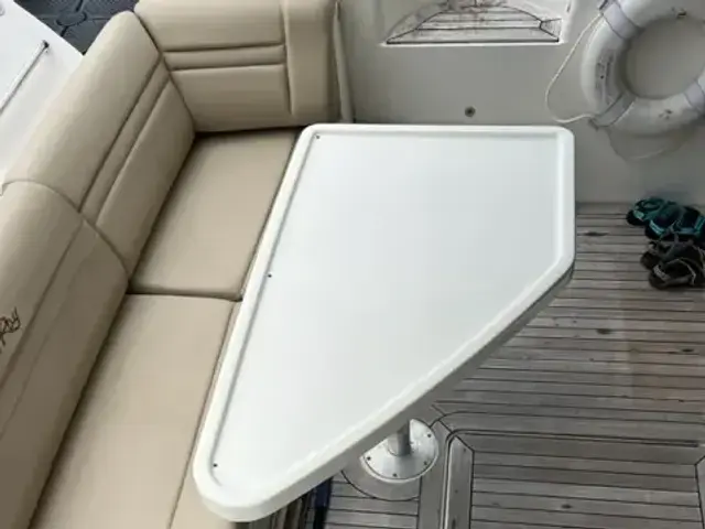 Sea Ray 510 Fly