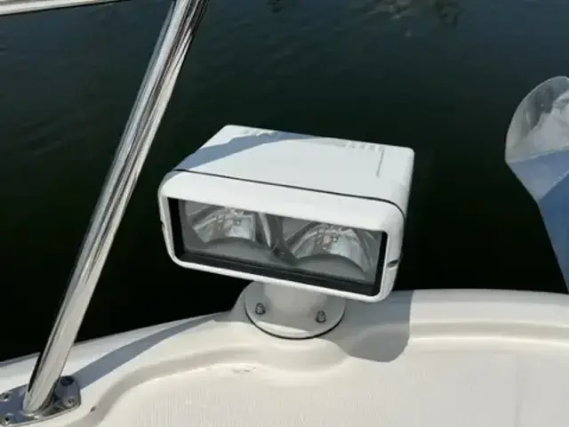 Sea Ray 510 Fly