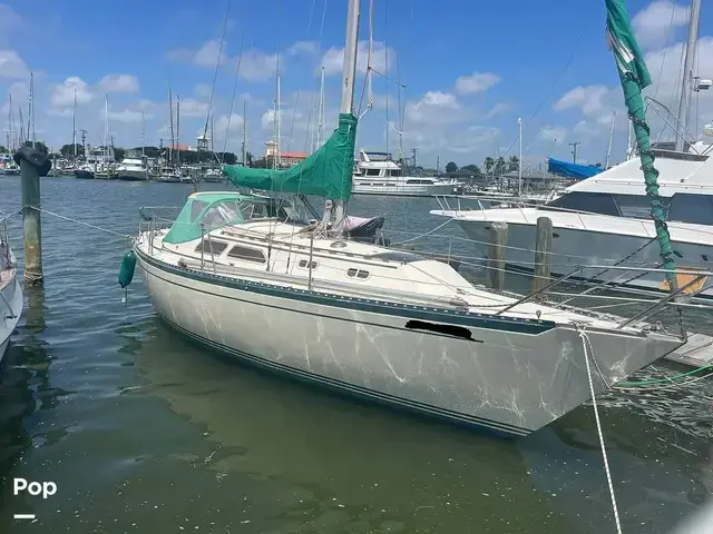 Islander 32