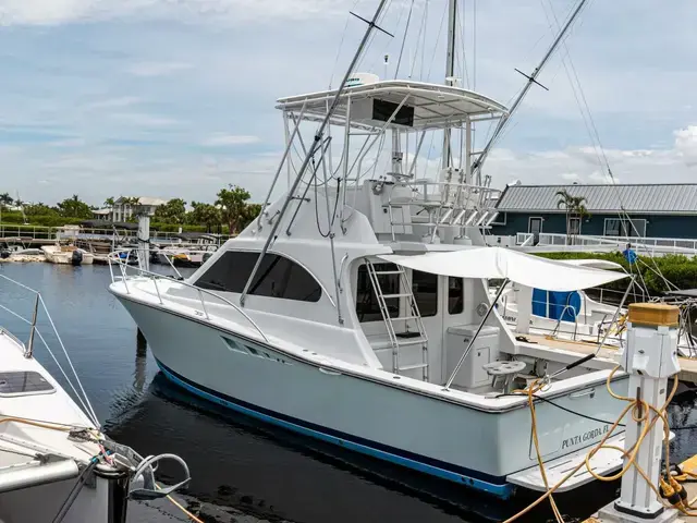 Luhrs 350 Tournament