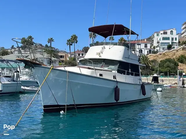 Mainship 34 Trawler