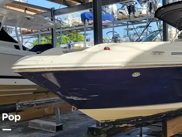 Sea Ray 240 Sundeck