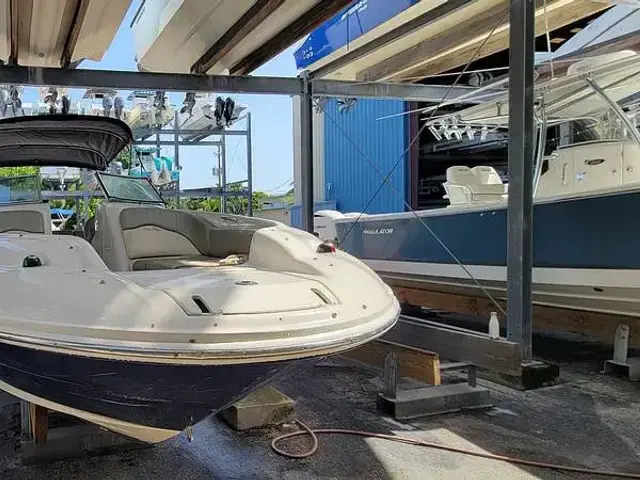 Sea Ray 240 Sundeck