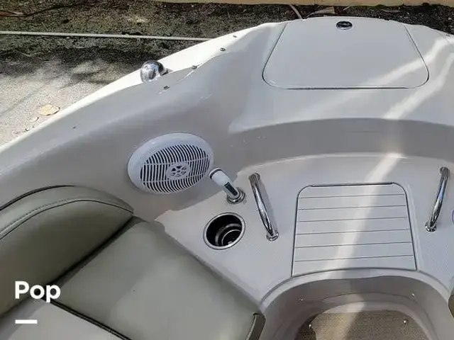 Sea Ray 240 Sundeck