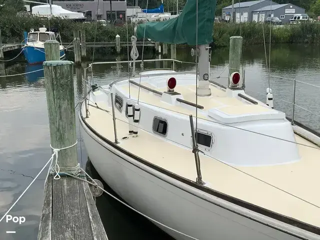 Tartan 30