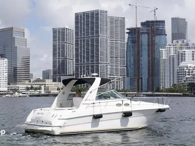 Sea Ray 310 Sundancer