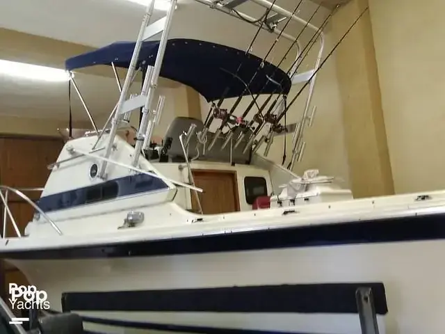 Skipjack 24 Flybridge Sportsfisher