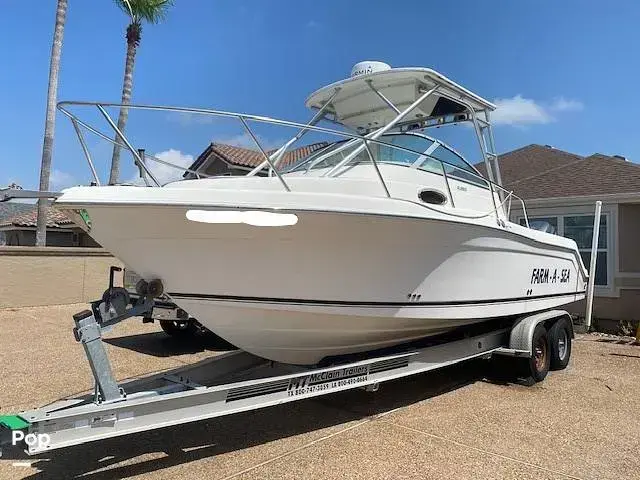 Robalo R265 Walkaround