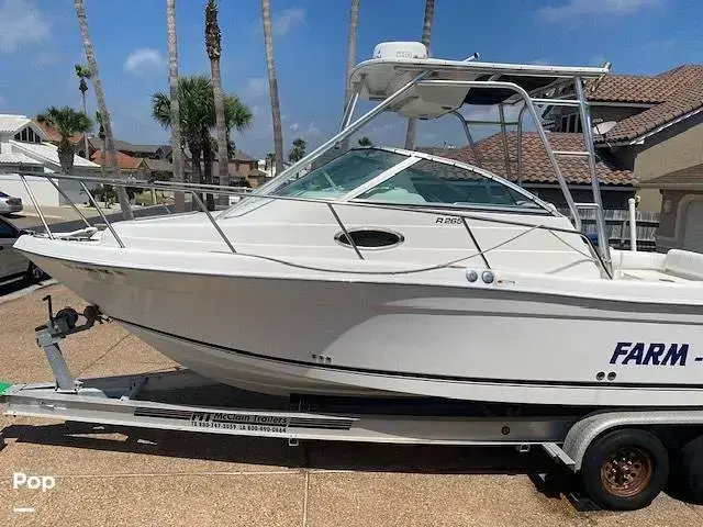 Robalo R265 Walkaround