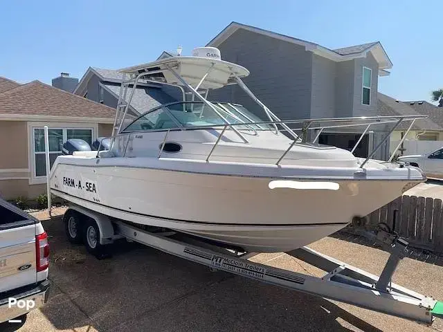 Robalo R265 Walkaround