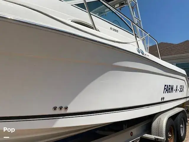 Robalo R265 Walkaround