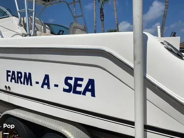 Robalo R265 Walkaround