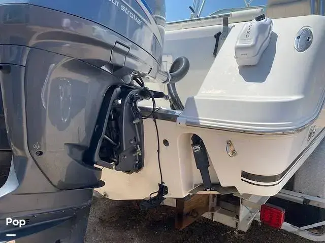 Robalo R265 Walkaround