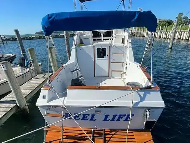 Chris Craft 292 Sunbridge