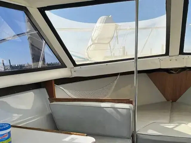 Chris Craft 292 Sunbridge