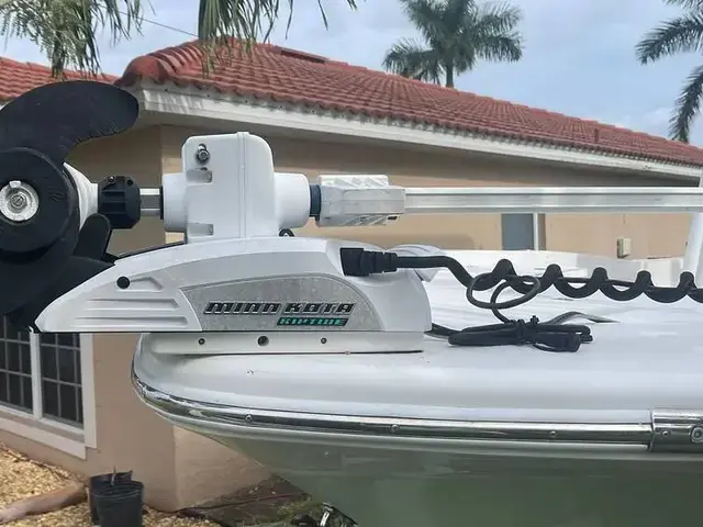 Sea Fox Boats 240 Viper