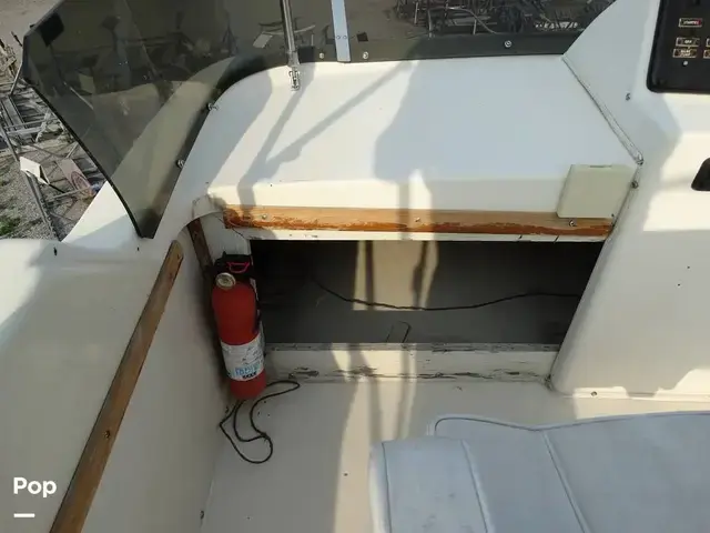 Chris Craft Corinthian 380