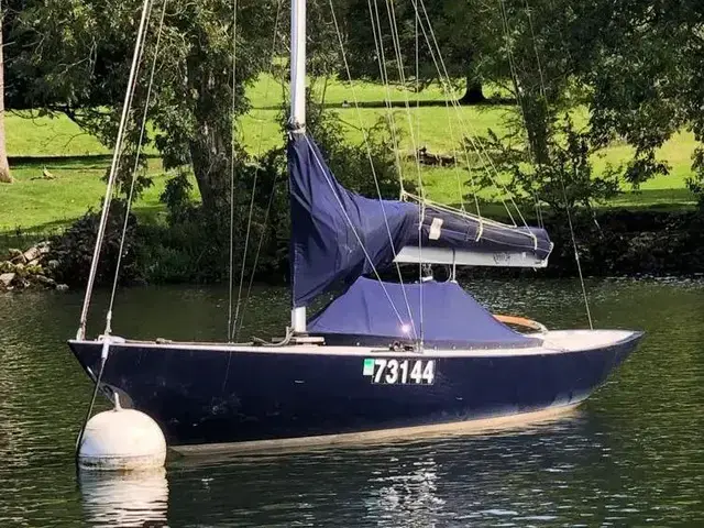 Rustler 24