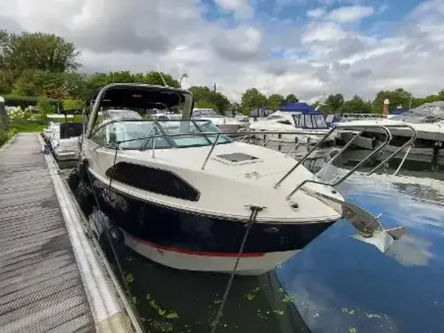 Bayliner Ciera 8