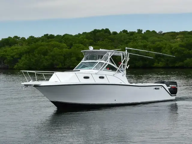 Mako 293 Wa