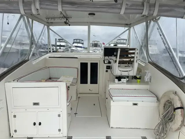 Dawson Yachts 33 Express