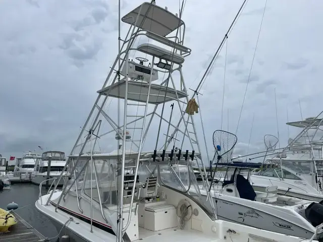 Dawson Yachts 33 Express