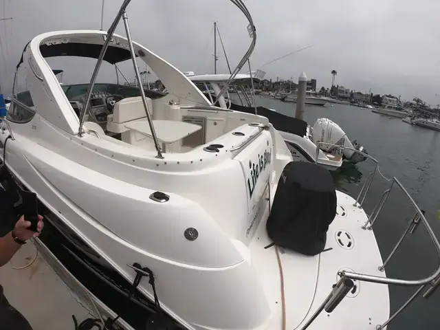 Bayliner 335