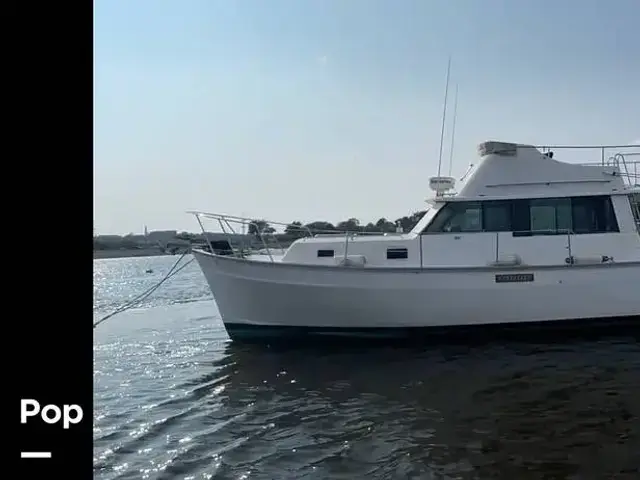 Mainship 34 Cruiser