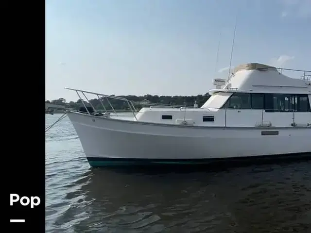 Mainship 34 Cruiser